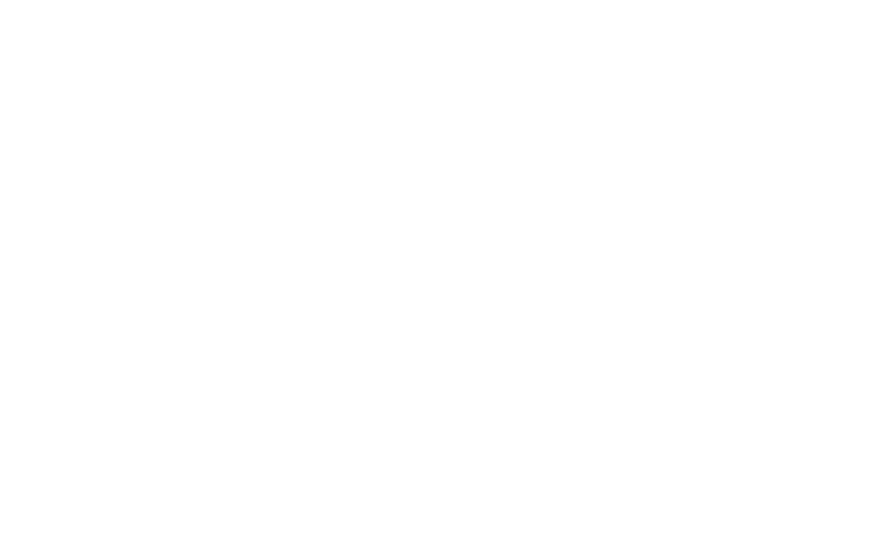 Bedarra Vineyards Logo (Link to homepage)